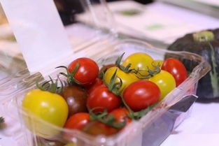 ASIA FRESH EXPO展会今日启幕 果蔬产品精彩纷呈